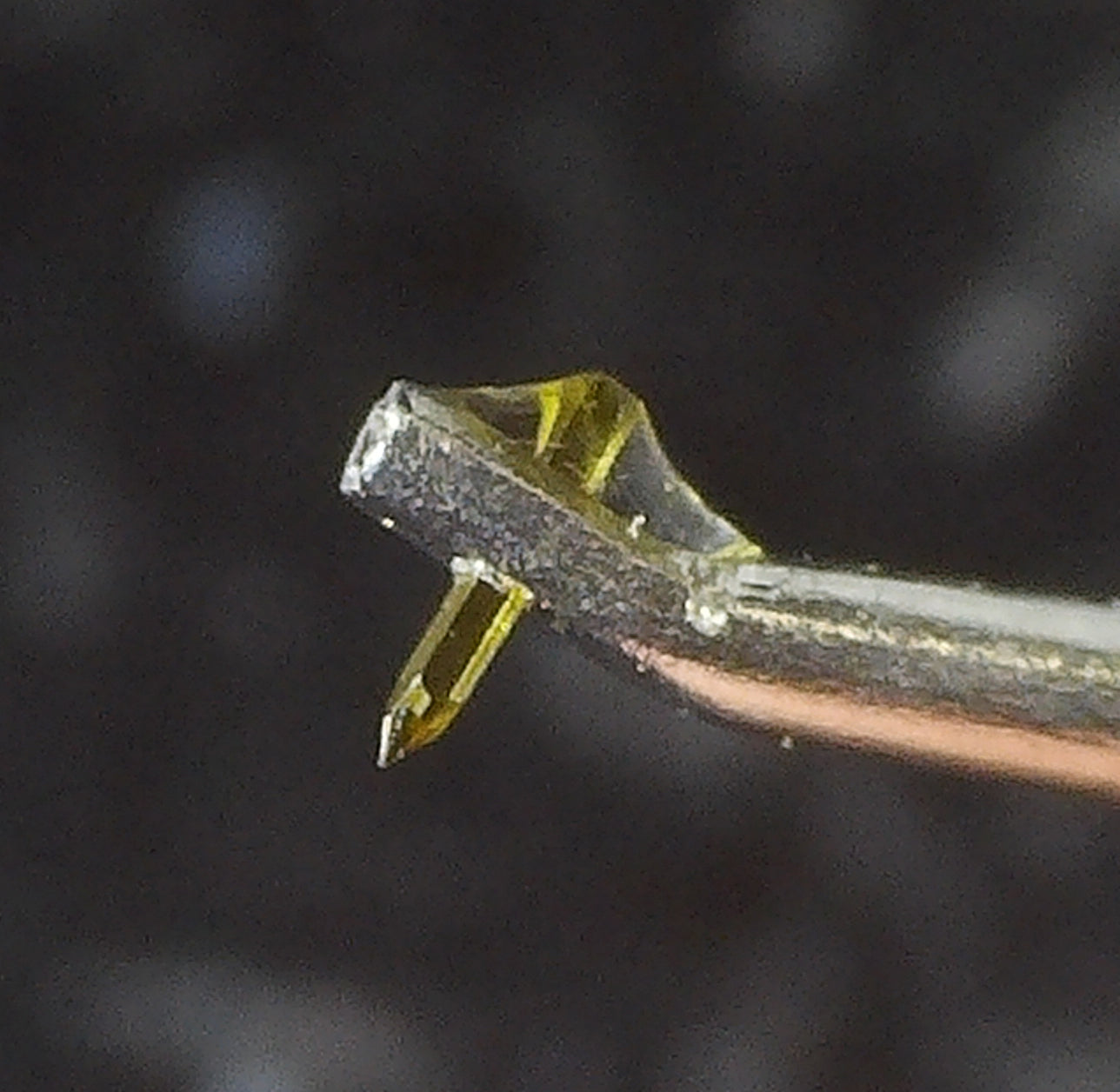 Product Image of a Rega Apheta 3 Moving Coil Cartridge