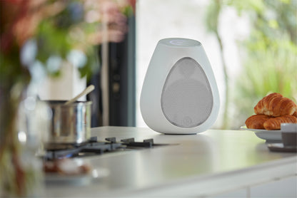 Lifestyle Image of the Linn Series 3 Wireless Speaker