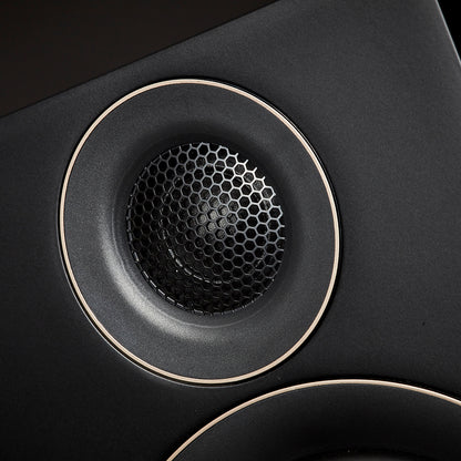 Product Image for the PMC Prodigy1 Speakers in black