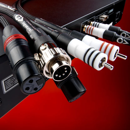 Product Image of the Chord SignatureX DIN - DIN Cable