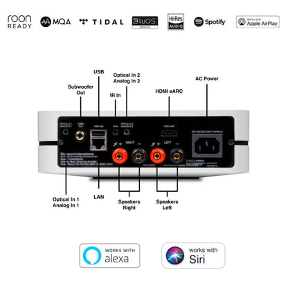 Product Image of the Bluesound Powernode N330 Amplifier rear panel in White