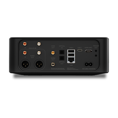 Product Image of the Bluesound Node Icon Music Streamer Rear Panel