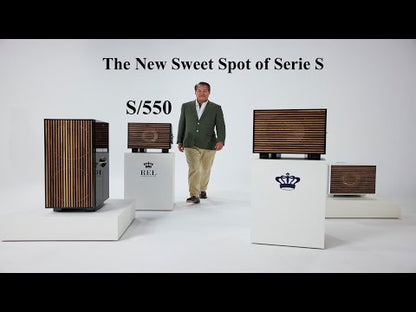 REL S/550 Subwoofer