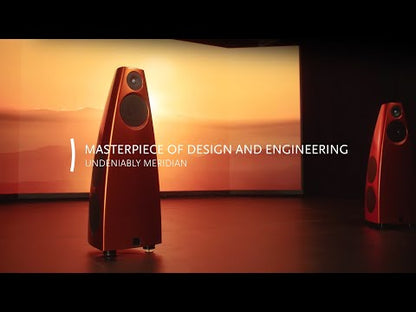 Meridian DSP9 Active Floorstanding Speakers (Pair)